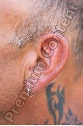 Ear Tattoo Casual Average Studio photo references